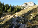 end of road on Pokljuka - Planina pod Mišelj vrhom